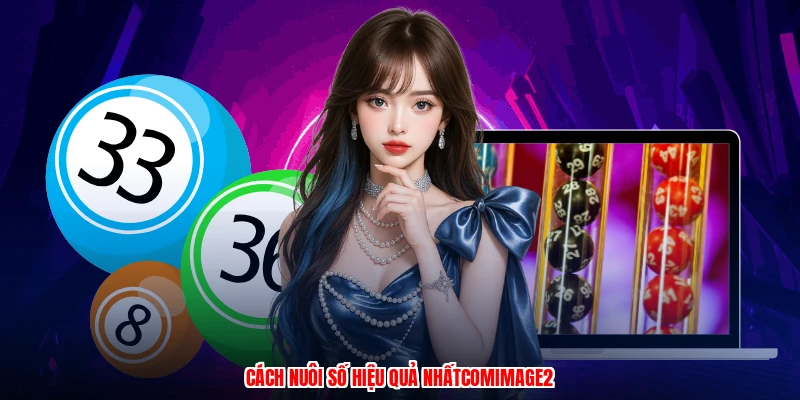 Cách nuôi số hiệu quả nhấtcomimage2