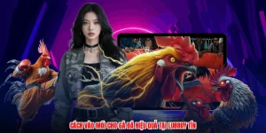 Cách Vào Mồi Cho Gà Đá Hiệu Quả Tại Thương Hiệu Uy Tín