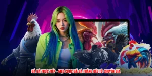 Đá Gà Trực Tiếp - Mẹo Cược Đá Gà Thắng Đều Từ Chuyên Gia