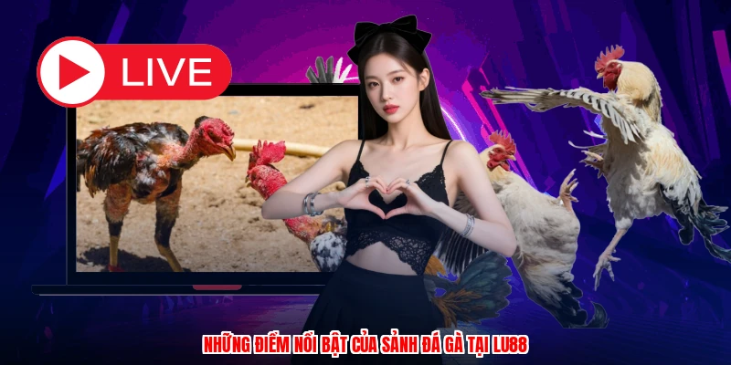 Những điểm nổi bật của sảnh đá gà tại LU88