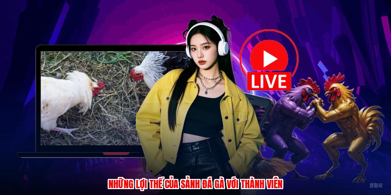 Những lợi thế của sảnh đá gà với thành viên