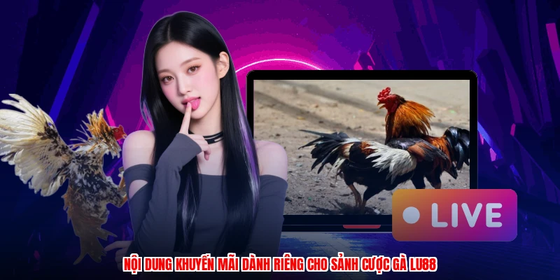 Nội dung khuyến mãi dành riêng cho sảnh cược gà LU88
