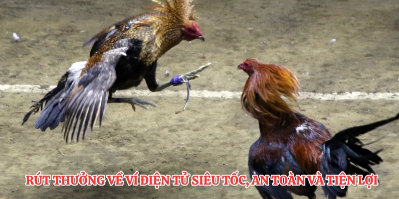 Rút thưởng về ví điện tử siêu tốc, an toàn và tiện lợi chỉ với vài bước đơn giản!