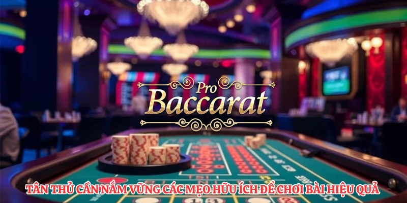 Tân thủ cần nắm vững các mẹo hữu ích để chơi bài hiệu quả 