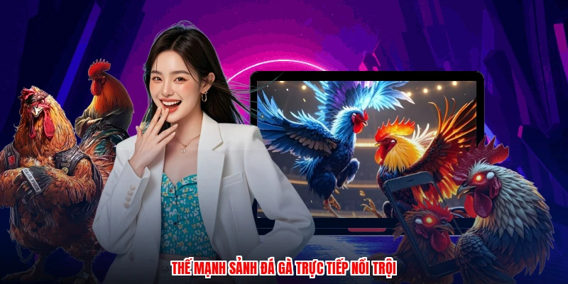 Thế mạnh sảnh đá gà trực tiếp nổi trội